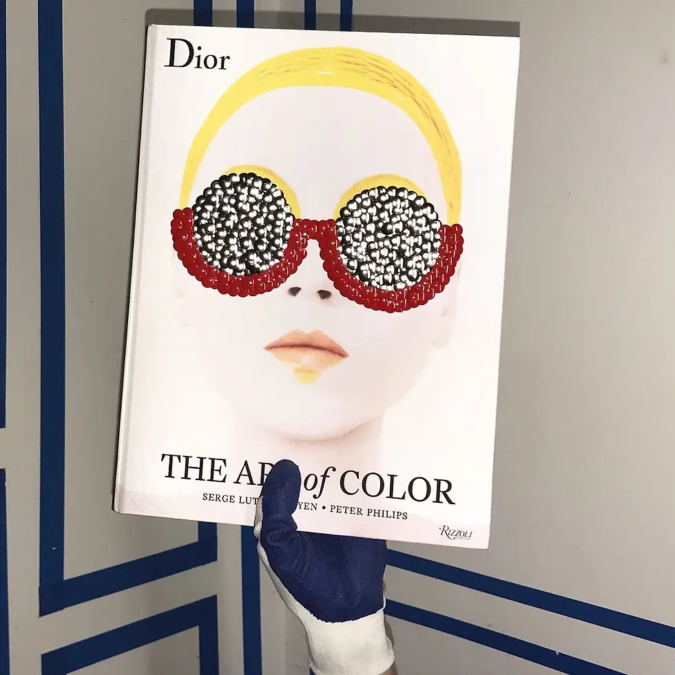 THE BMS - DIOR : THE ART OF COLOR