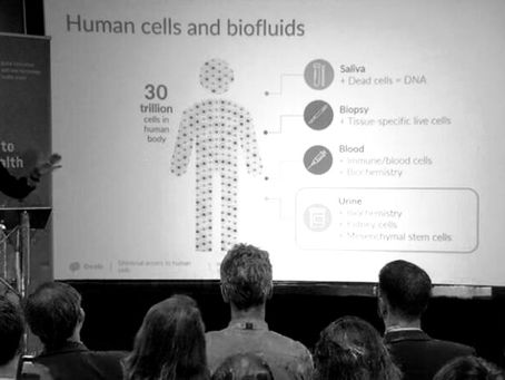 Encelo: solution with the most potential