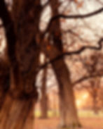 PAST EVENT Dru Yoga Therapy 'Building resilience in older age'
