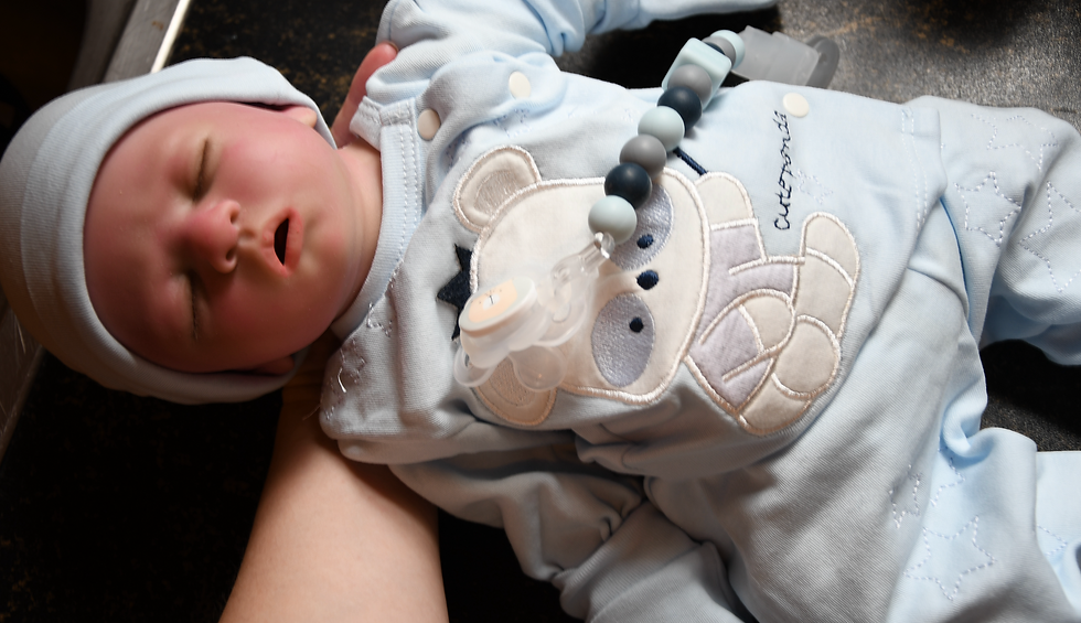 Miniaturbild: Babyboy *Micha* Full Body Silikon Baby Boy Nr.3 SILICONE Vollsilikon