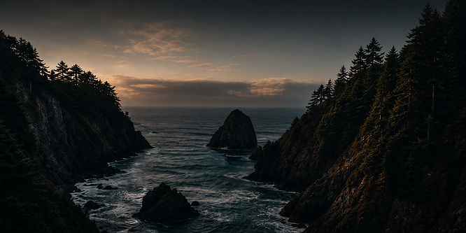 website_image_header_rev.01.jpeg