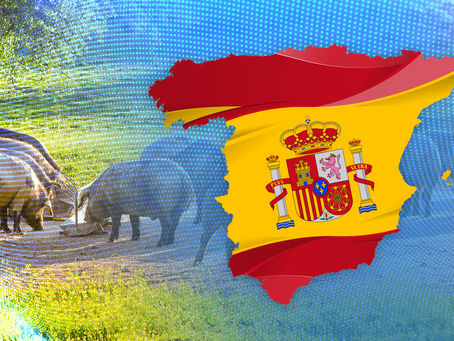 Un año de Resiliencia para el Porcino Español en un Entorno Global Exigente