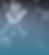 Design sem nome (16).png