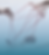 Design sem nome (18).png