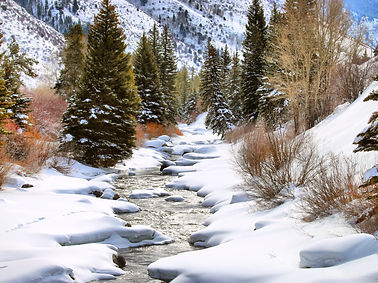 Colorado stream