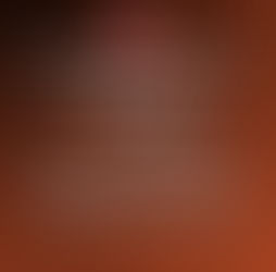 Official Public Notice Regarding Non-Affiliation and Unauthorized Website 