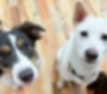 18085950358705269_edited