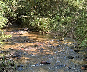FAZENDA DE  46,18 HA COM PREÇO IMPERDÍVEL E ACESSO FÁCIL