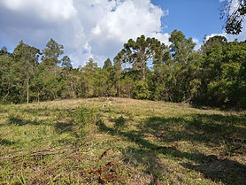 ÁREA DE 0,5HA NA DIVISA ENTRE VIRGINIA E MARMELÓPOLIS