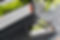 web design.jpeg