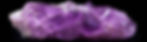AdobeStock_885065801.jpeg