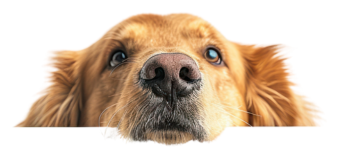 AdobeStock_1007011099.png