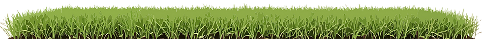 pasto.png