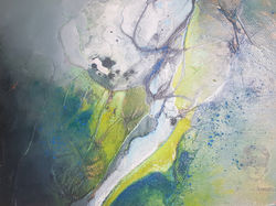 HIDRODICTYON RETICULE 30 X 40 cm