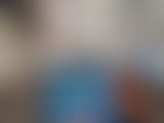 Das Quartierwappen auf dem Flexity-Tram