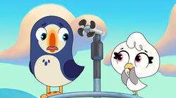 6-Camila-Belli-Kraus