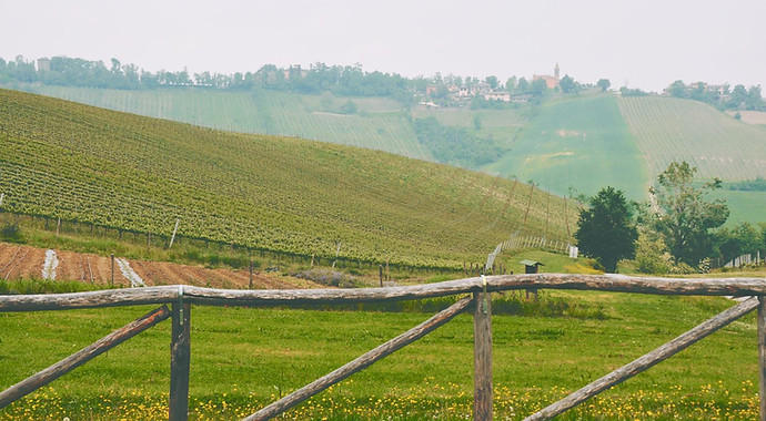 Green Field