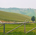 Green Field