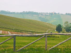 Green Field