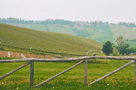 paesaggio toscano