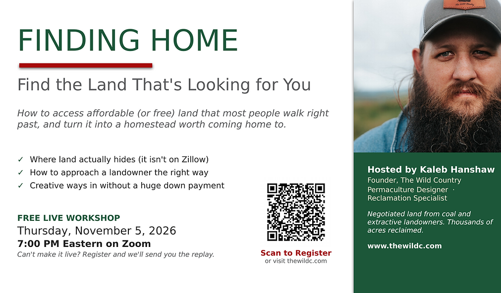 Finding_Home_Nov5_Flyer.png