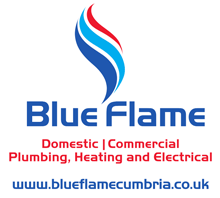 blue-flame-logo-no-phone-number-01