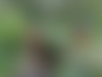 Riverlution working on the Apprenticeship Program