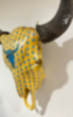 Thumbnail: Spotted Buffalo