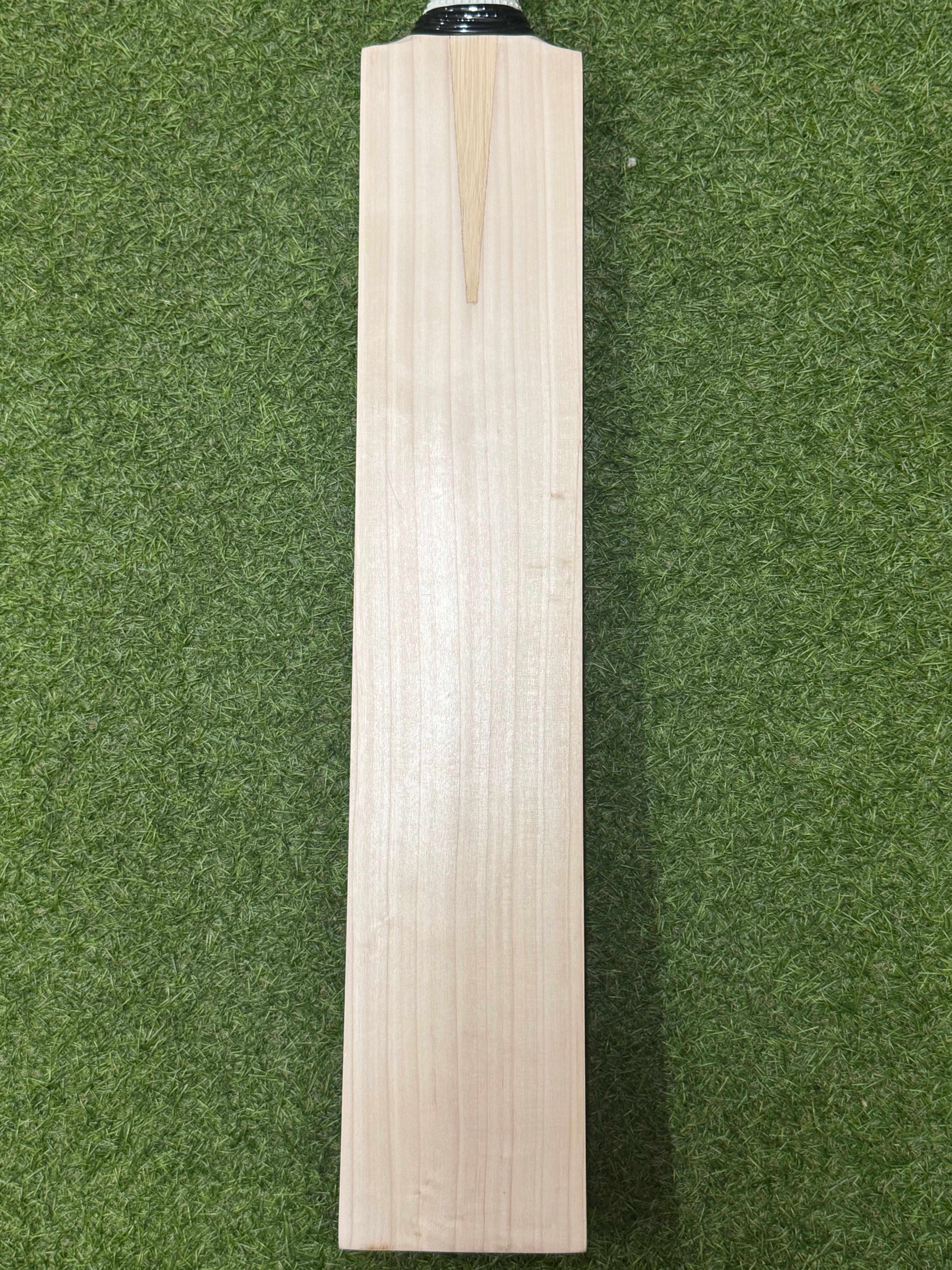 Sh Basilic Pro  (Bat as pictured)