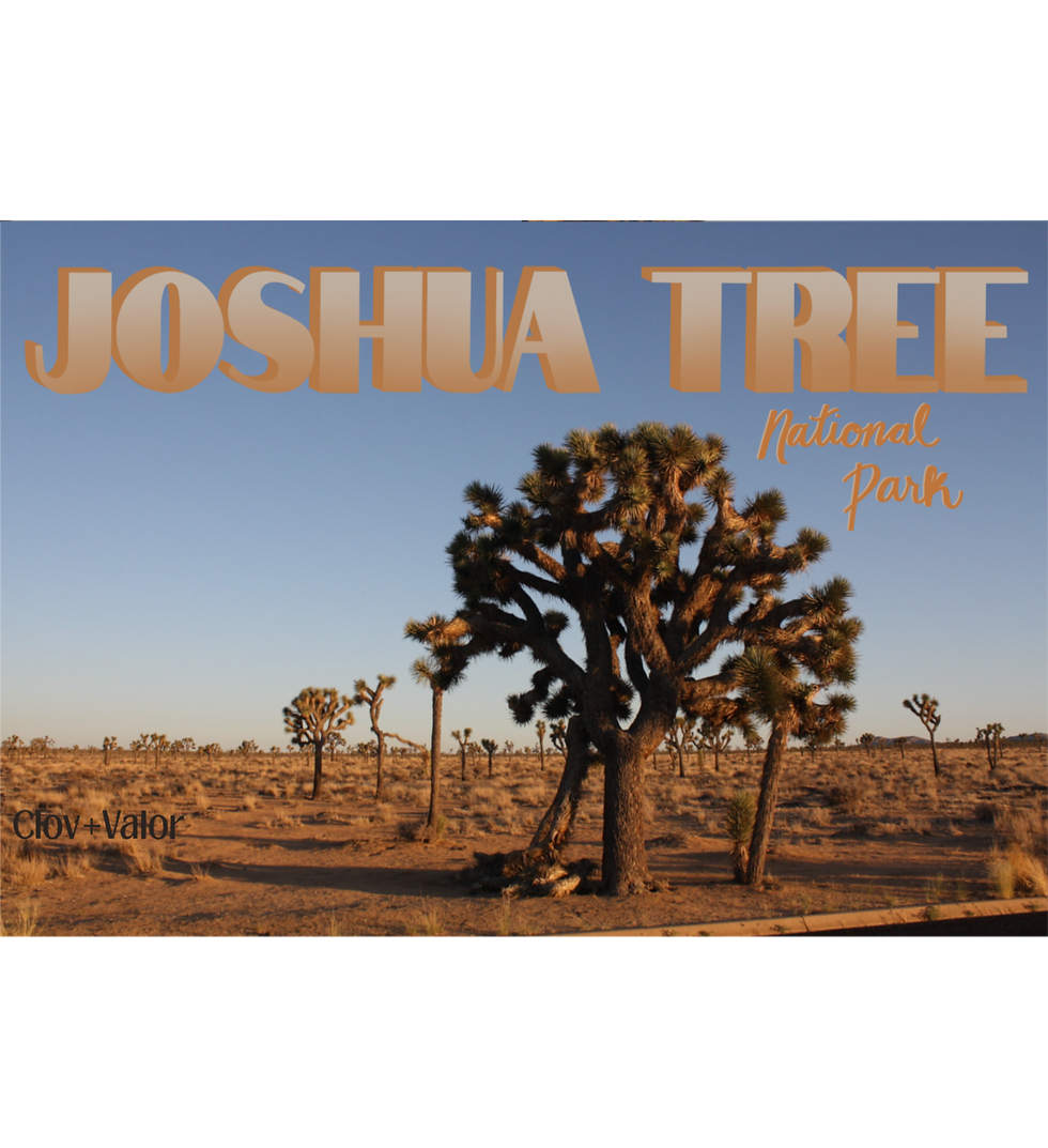 Thumbnail: Joshua Tree Postcards