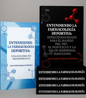 Diseño sin título_edited.jpg