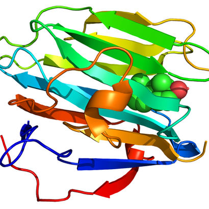 SHBG alto: el asesino silencioso de la libido