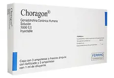 choragon.webp