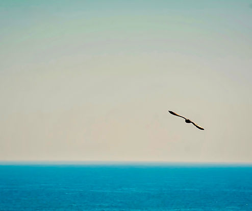 IMG_0189 (1).jpeg