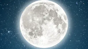“Deja brillar a la luna”