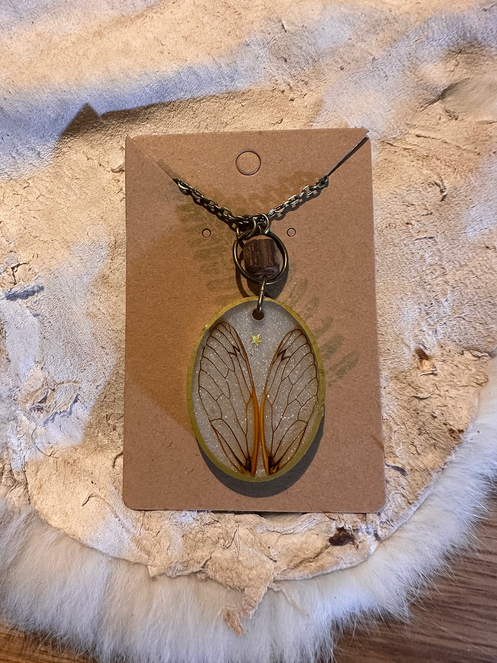 Oval cicada wing necklace