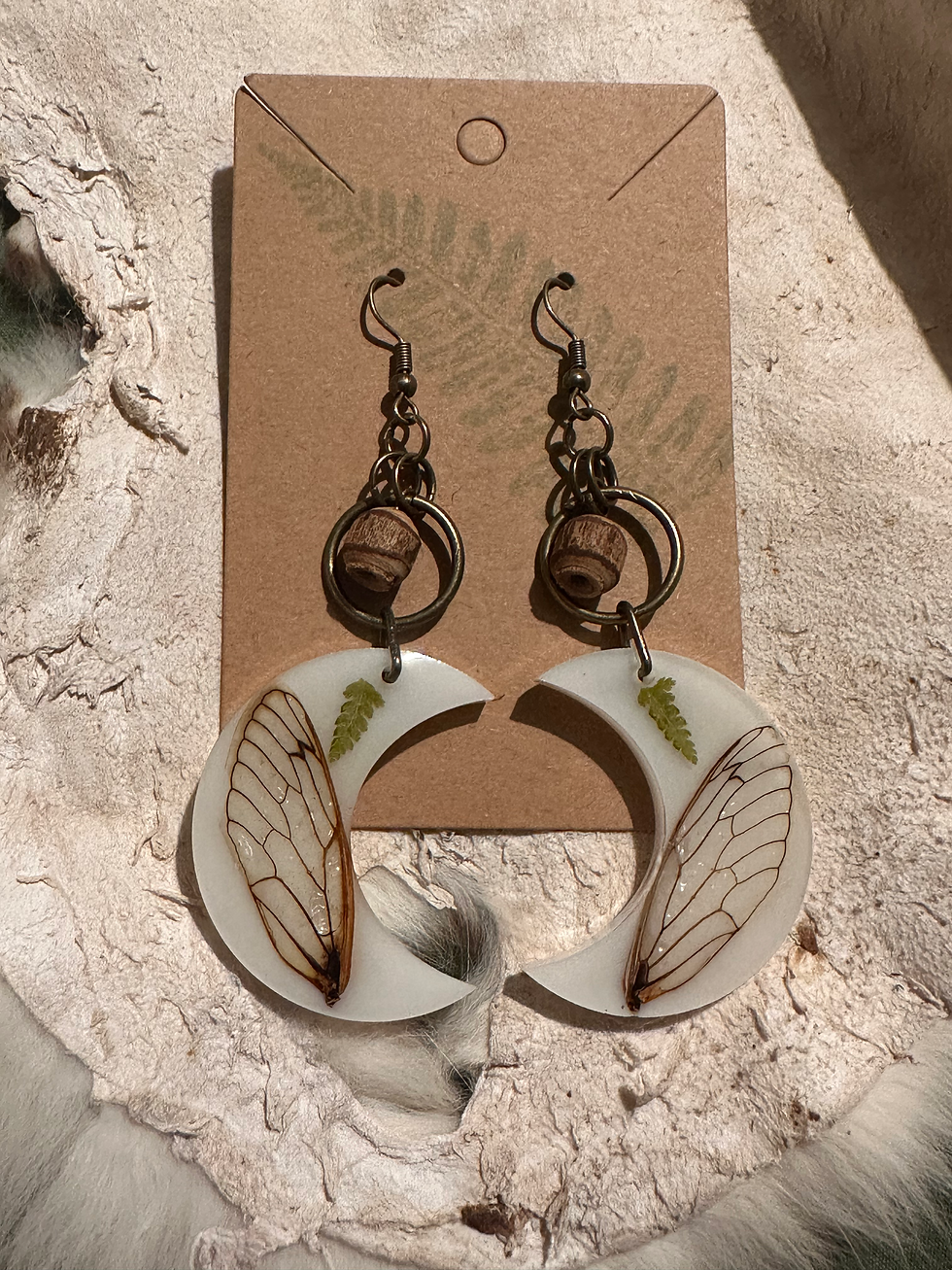 Crescent moon cicada wing earrings with pressed ferns