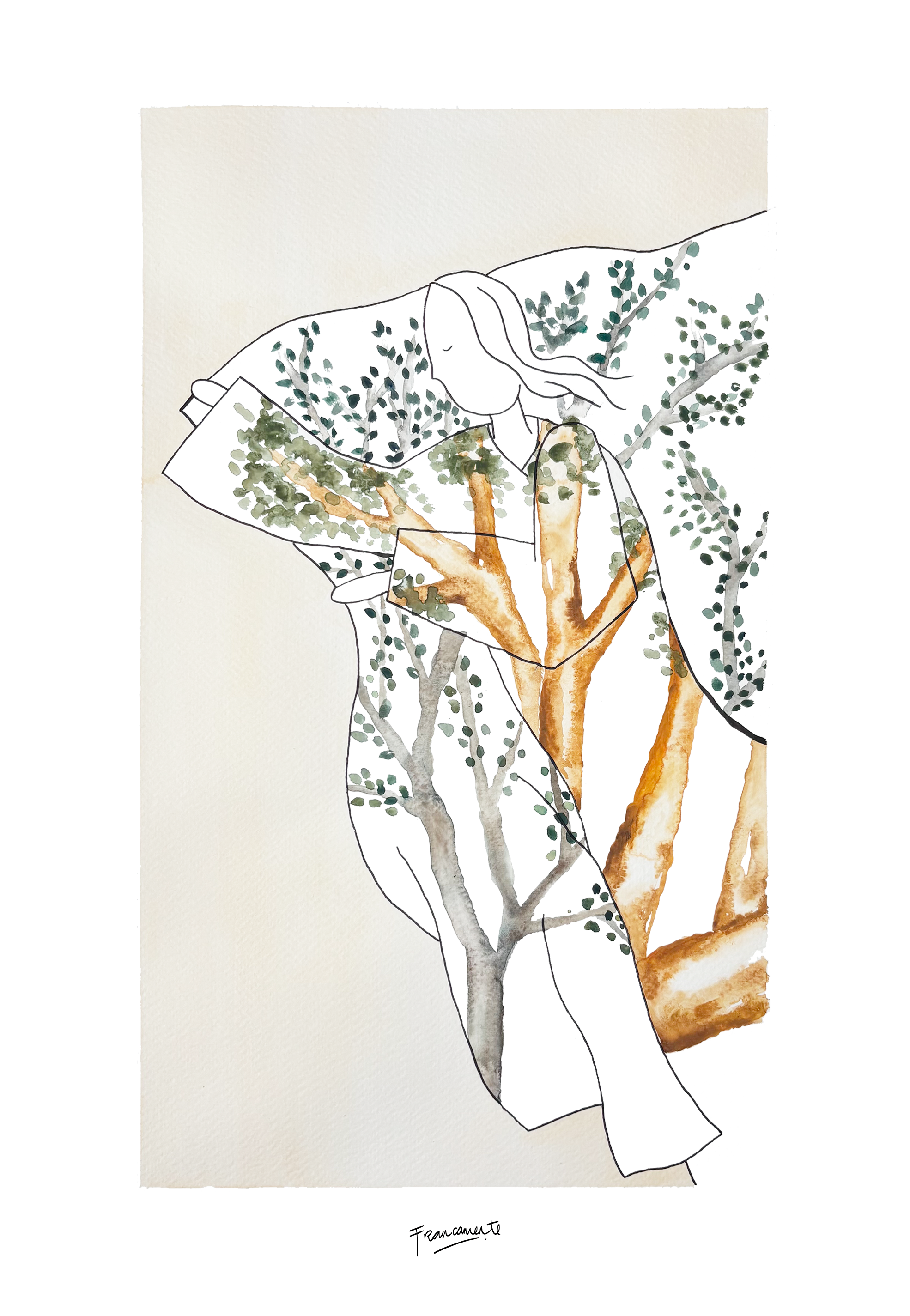 "Arrayán and Ñirre"