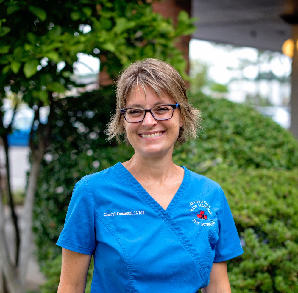 Arlington Pet Hospital Pllc And East Memphis Pet Hospital