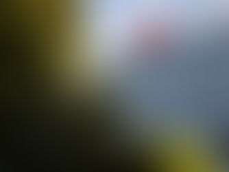 La Suisse dit oui à la scène culturelle