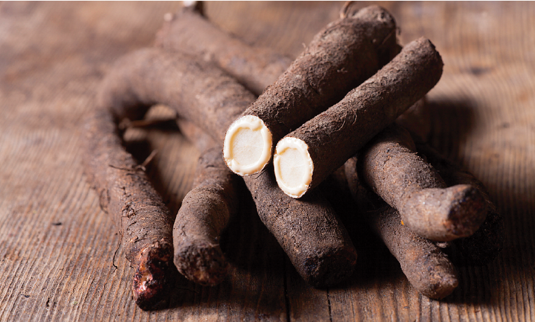 Schwarzwurzel piattoforte