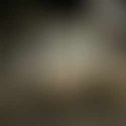 Delegierten-versammlung SMR am 4. April 2025 in Aarau