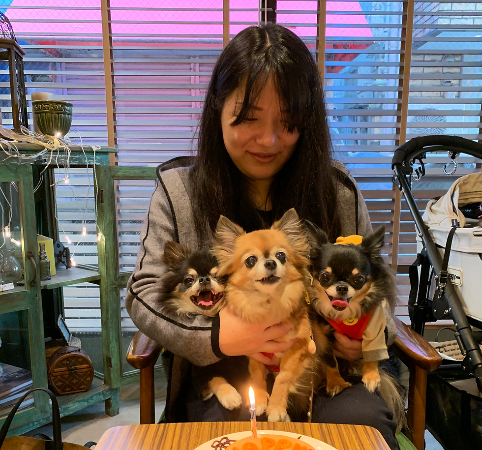 愛玩動物看護師のペットシッター
の自己紹介画像