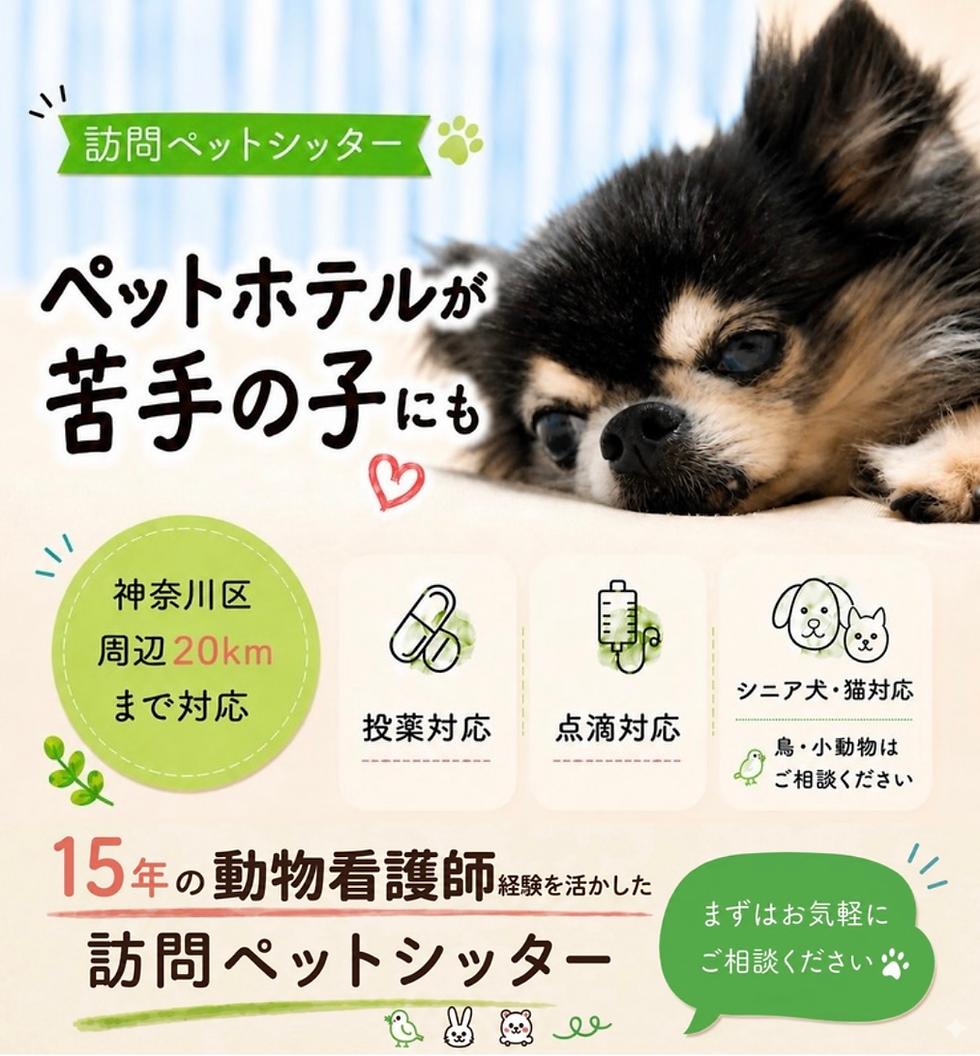 投薬・点滴対応可能なペットシッターサービス案内(神奈川区周辺対応)