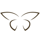 Butterfly Logo Design (6).png