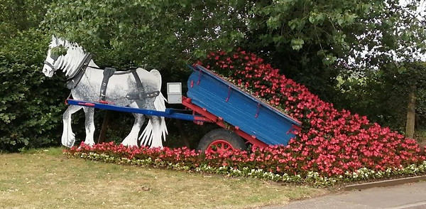 FILBY.jpg