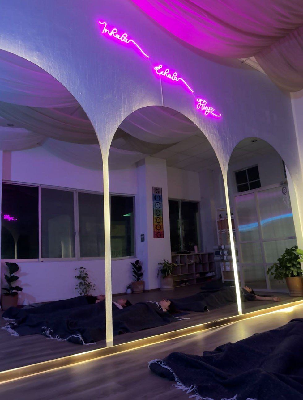 Eye-level view of a serene yoga studio with mats neatly arranged