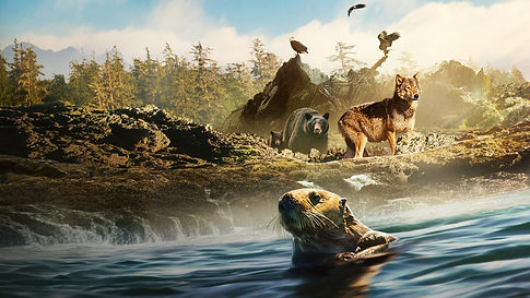 Descargar serie La isla de los lobos costeros (2022) temporada en google drive zippyshare mediafire