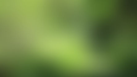 Que no falte para ellos el agua "fresca y sana" de la vertiente