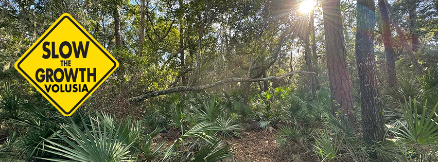 Save Volusia County